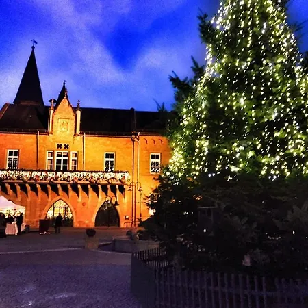 Deinferienhaus Scheliga „midi“ * 巴特索伯恩海姆